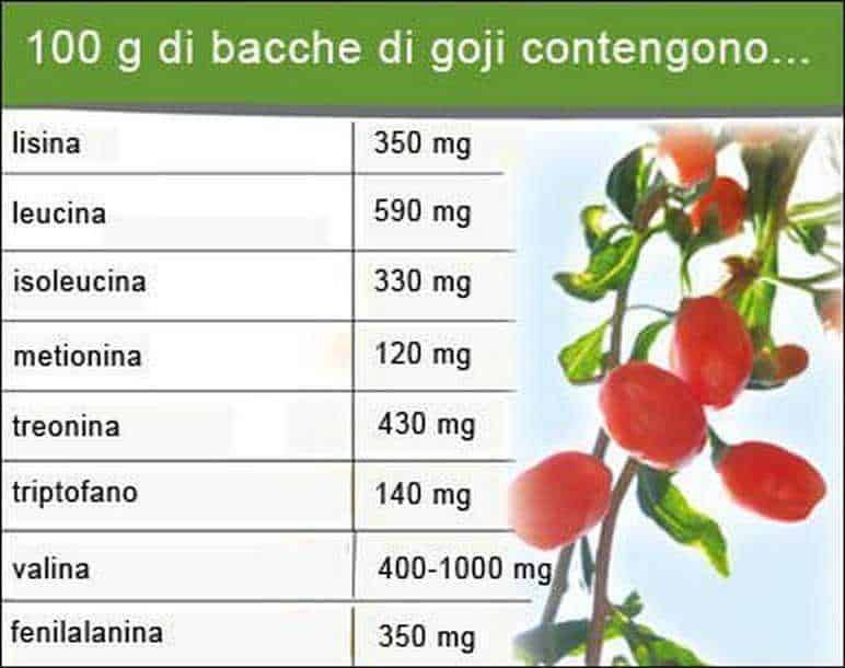 Bacche di goji fresche e secche con valore nutrizionale indicato, focus su proprietà benefiche e integratori naturali.