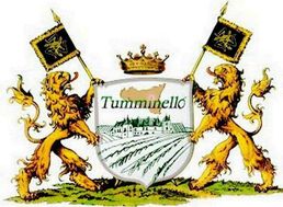 Tumminello il mio olio extravergine fruttato 3 Tumminello il mio olio extravergine fruttato