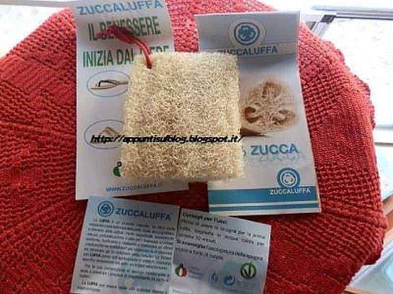 Zuccaluffa spugna vegetale multiuso e indeformabile 5 Zuccaluffa, spugna vegetale multiuso e indeformabile