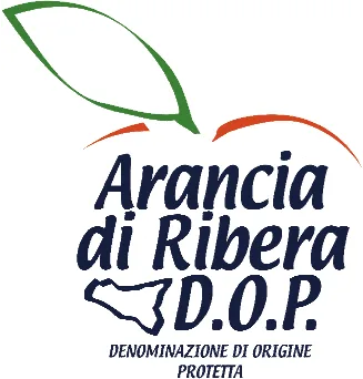 Arance Ribera DOP, ottima frutta da bere e da mangiare 4 Arance Ribera DOP, ottima frutta da bere e da mangiare