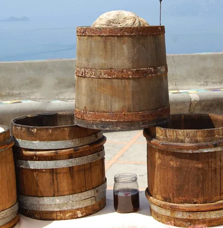 Cetara: il borgo dei tonnari in Costiera Amalfitana 4 Colatura di alici di Cetara DOP