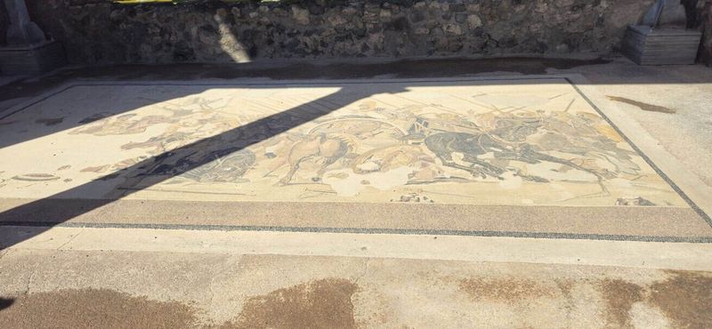 Pompei tour e curiosità di una grande civiltà romana 13 Dettagli di mosaici nella casa del Fauno. 2024