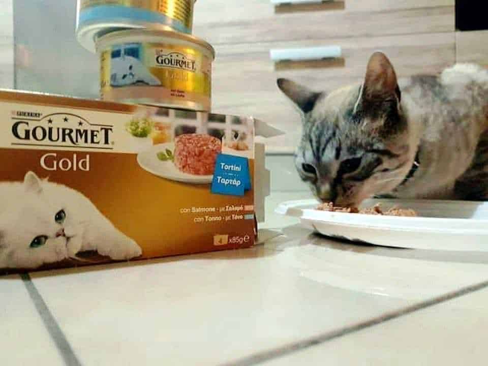 Gourmet Gold : deliziosi tortini con salsa per l'amico gatto