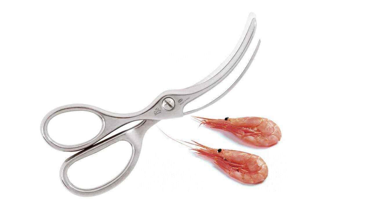 Pinzetta chirurgica con gamberetti freschi, strumenti cucina per preparare crostacei, simbolo di cucina di alta qualità, utensili professionali per seafood, Appunti Sul Blog alimentazione e ricette.