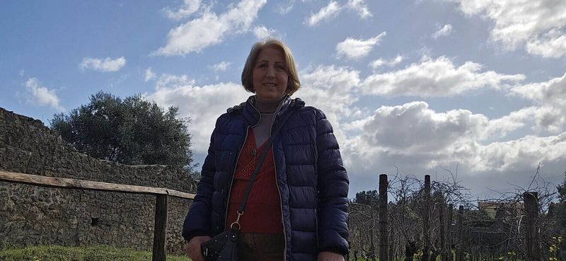 Scavi di Pompei: terme, bellezza e vita quotidiana nell'antica Roma 21 Vigneti degli Scavi di Pompei durante la visita al Parco Archeologico