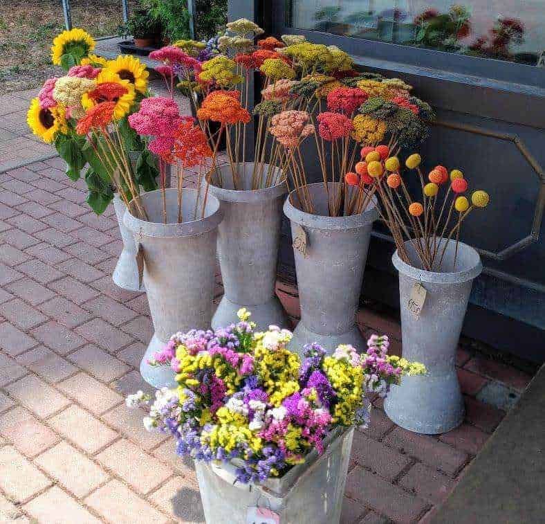 Colorate composizioni di fiori freschi e secchi in vasi di cemento sulla strada, perfette per decorare esterni e ambienti naturali, esempio di un allestimento floreale elegante e colorato.