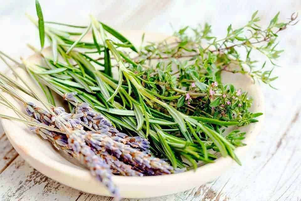 Erbe aromatiche fresche in ciotola, lavanda, rosmarino e timo, ideali per cucina naturale e terapia aromatica. Ideale per appunti di blog su cucina integrata e digitale.