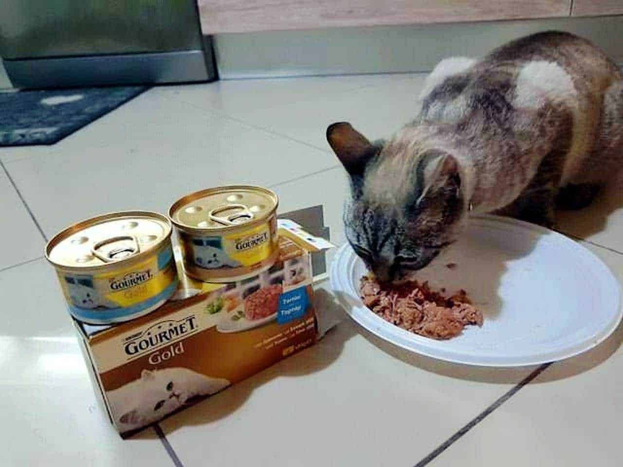 Gourmet Gold : deliziosi tortini con salsa per l'amico gatto