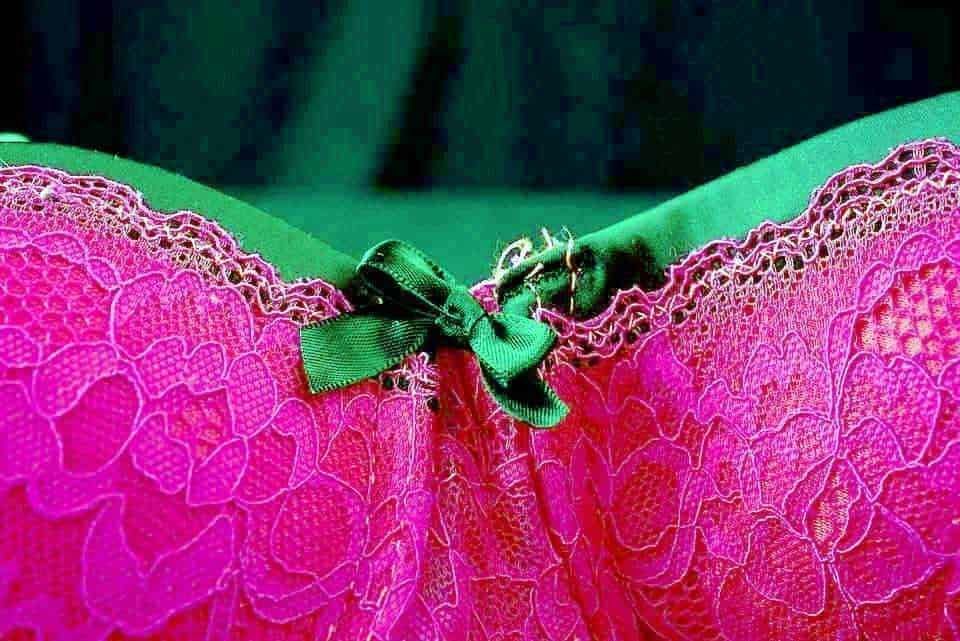 Ritaglio di cucitura da fiore rosa con fiocco verde e insetto, fotografia artistica colorata.