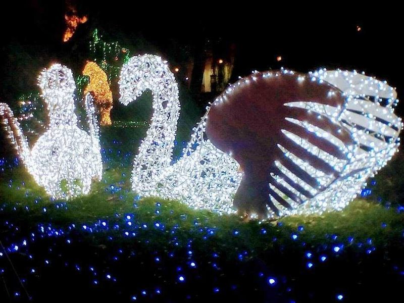 Parchi a Salerno, Duomo e Castello di Arechi (2026): guida completa con orari e prezzi 3 Illustrazione natalizia con luci a LED di cavalli, cuore e numeri 2022, decorazioni festive in un parco illuminato di notte, perfette per foto di stagione e decorazioni di fine anno.