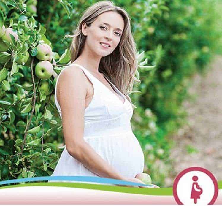Filemonno pregnant apple