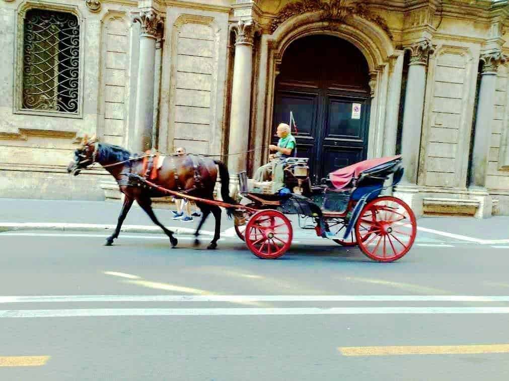 Carrozza a Roma﻿: Roma capitale tour in mesi caldi