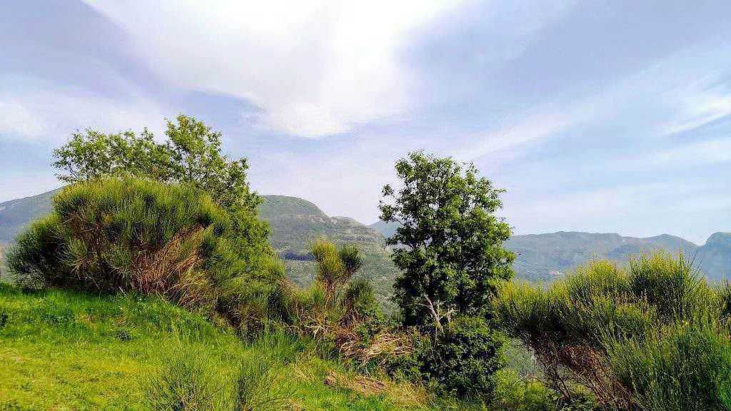 Serenità naturale con alberi e colline verdi, paesaggio pittoresco di montagna e cielo azzurro, immagine di natura incontaminata perfetta per blog di viaggi e natura.