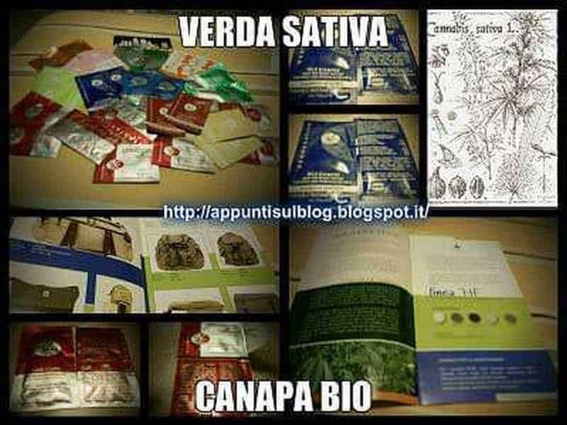 Verdesativa Canapa Bio, benessere dalla canapa 2 Cosmetici bio alla canapa: Semi di canapa sativa biologica, prodotti naturali a base di cannabis, foglie di canapa bio, infusi e integratori naturali, confezioni di prodotti a base di cannabis sativa bio.