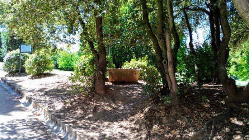 Antico lavabo in pietra in un giardino verde con alberi e panchina rustica, ambientazione naturale e tranquilla, ideale per relax e momenti di calma, perfetta per un blog di appunti di viaggio.