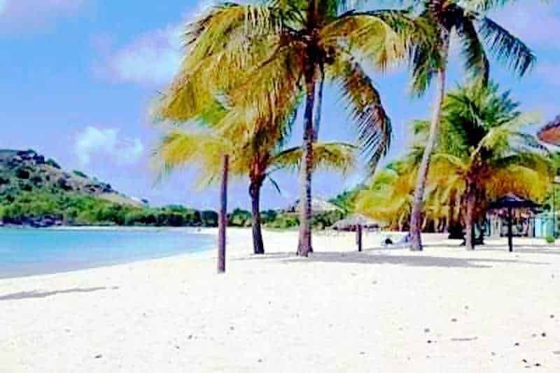 Palme sulla spiaggia tropicale con sabbia bianca e acque cristalline, atmosfera rilassante e soleggiata, perfetta per vacanze al mare in destinazioni esotiche.