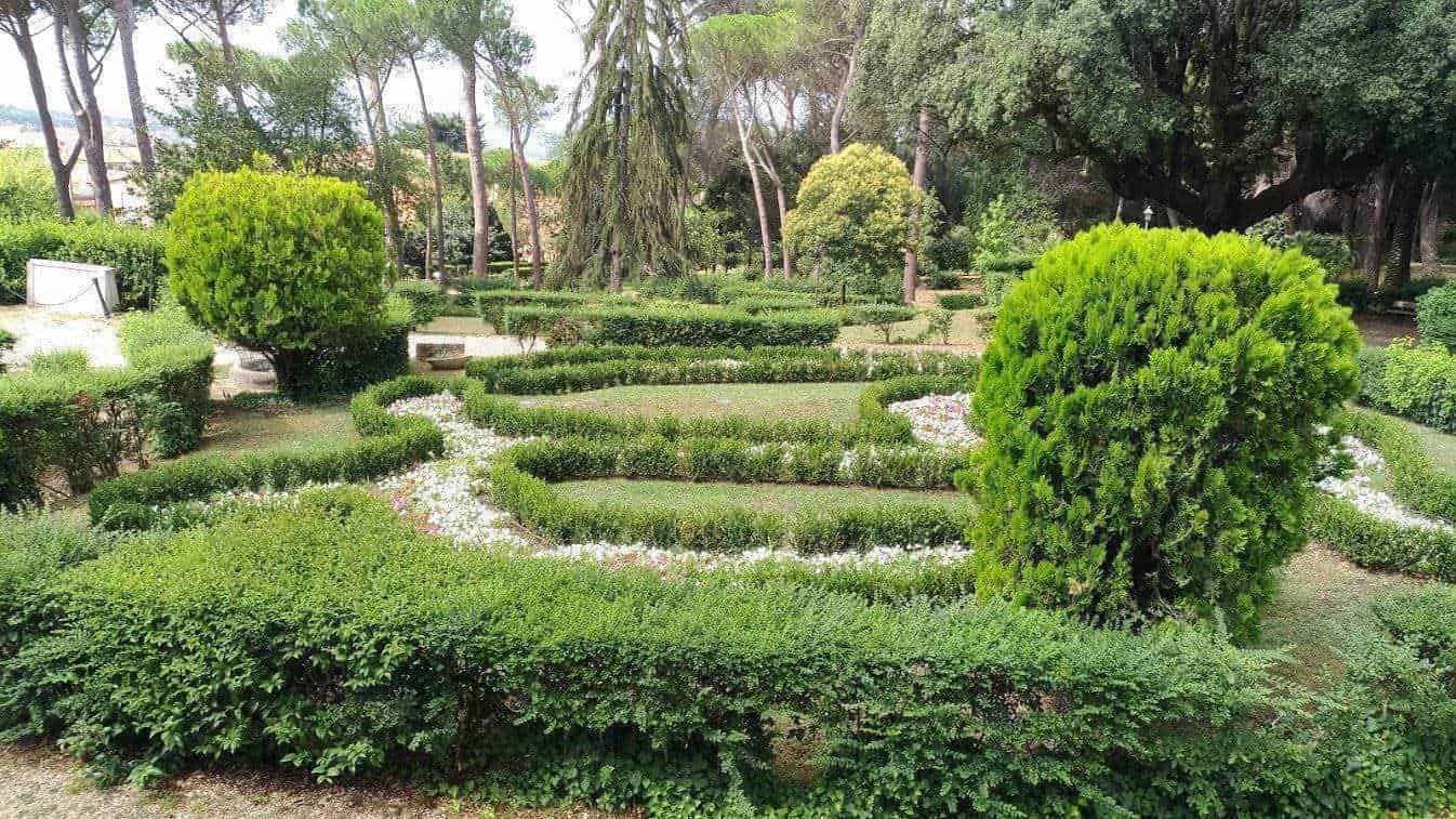 Prato di giardino curato con siepi decorative e alberi verdi, atmosfera tranquilla e rilassante, ideale per passeggiate e relax in natura.