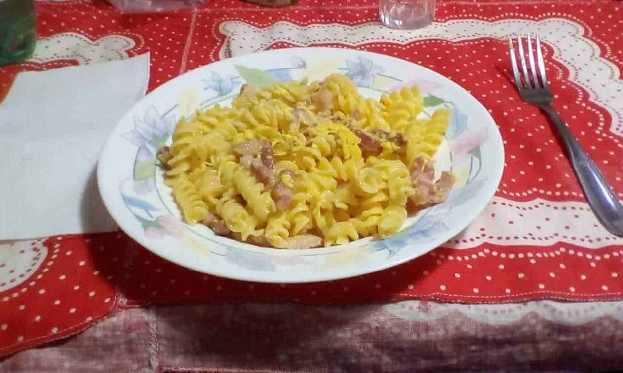 Pasta di penne integrali con funghi, pomodori secchi e erbe fresche in un piatto di cucina italiana fresca e salutare.