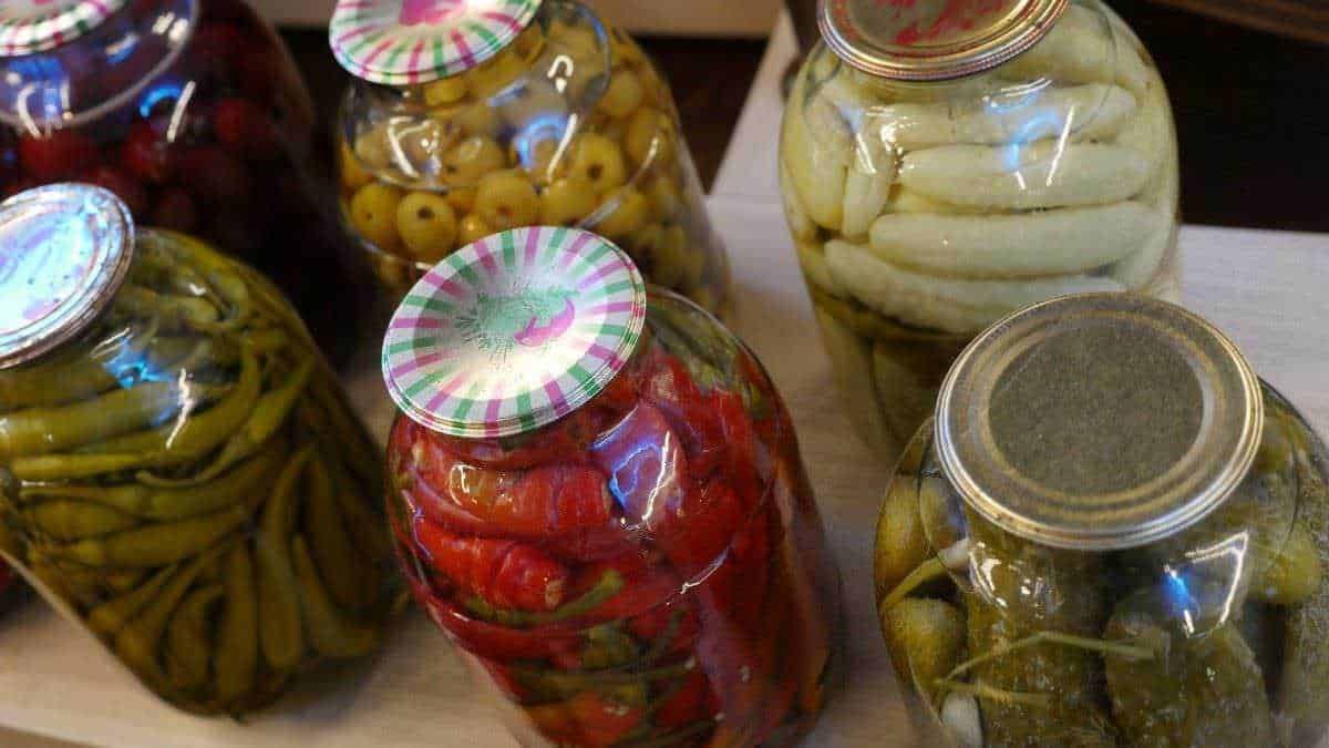 Probiotici da cibi fermentati, non dalle capsule (2026)