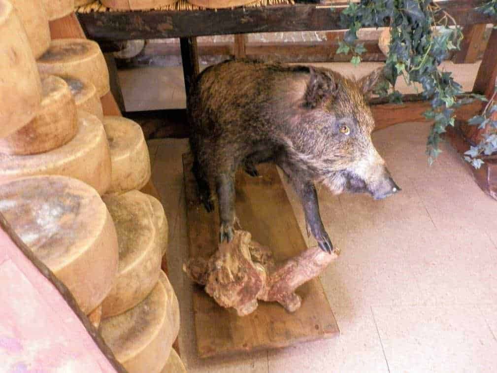 Antica storia del Formaggio dai greci all'età moderna