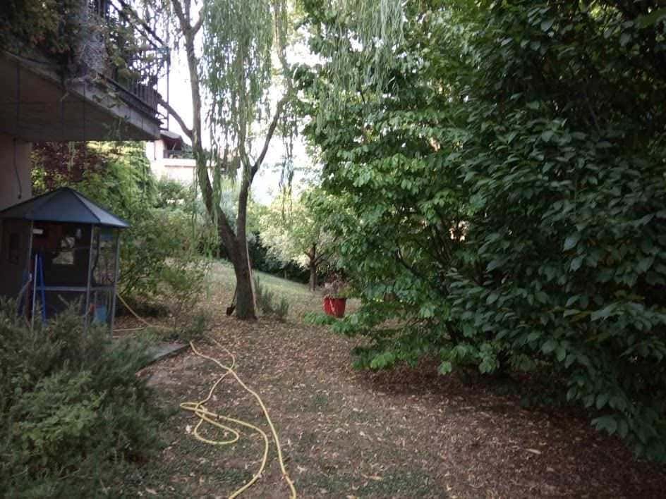 L'immagine mostra un giardino verde con alberi e cespugli rigogliosi, un'area ricca di natura, perfetta per relax e giochi all'aperto. Un gazebo si intravede sulla sinistra, mentre un tubo di acqua giallo si trova sul terreno, creando un'atmosfera serena e naturale.