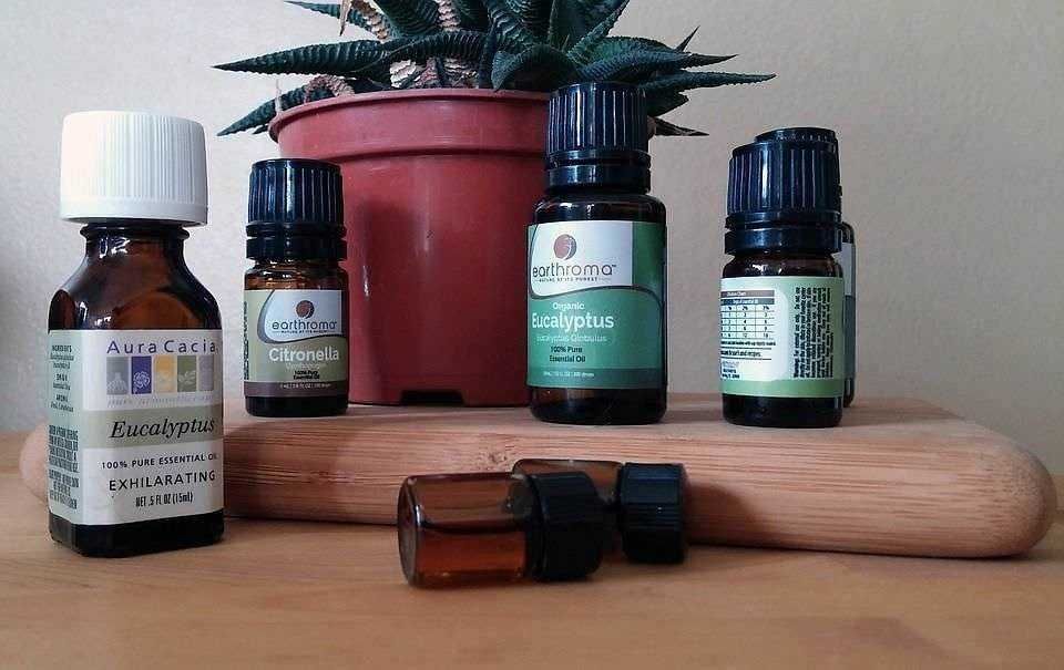 Olio essenziale: 10 profumi usati nei prodotti per il corpo delle donne