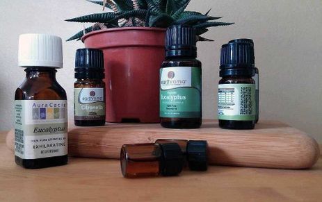 Olio essenziale: 10 migliori profumi usati nei prodotti per il corpo delle donne 3 Olio essenziale: 10 profumi usati nei prodotti per il corpo delle donne