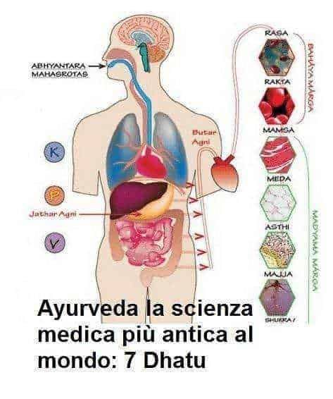 Ayurveda la scienza medica più antica al mondo 2 Ayurveda la scienza medica più antica al mondo