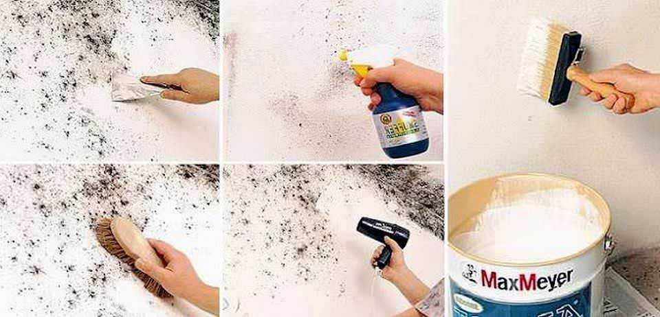 Come Eliminare le Macchie di Muffa dalle Pareti in modo naturale