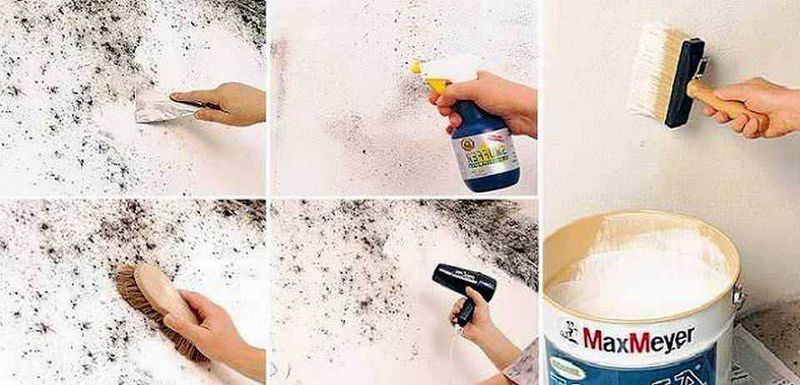 Come togliere la Muffa dai Muri in modo naturale 4 Come Eliminare le Macchie di Muffa dalle Pareti in modo naturale
