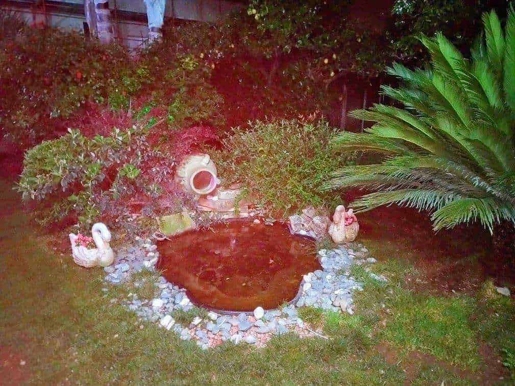 Giardinaggio ad Ottobre, 10 cose da fare per l'inverno