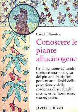 Piante allucinogene sacre nel mondo 2 Piante allucinogene sacre nel mondo