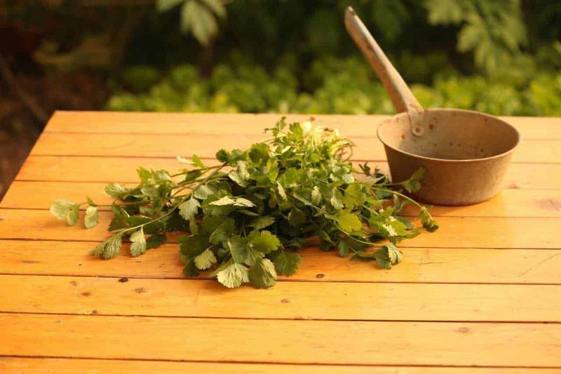 Foglie di erba fresca con cucchiaio di terracotta sul tavolo in legno naturale, ideale per ricette di cucina e tisane aromatiche da giardinaggio domestico.