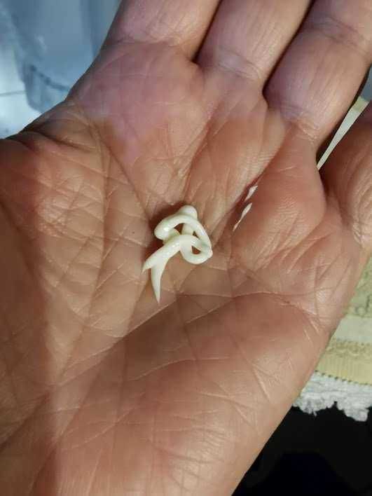 Filo di pasta di riccio di mare sulla mano, fresco e naturale, perfetto per piatti di mare e cucina mediterranea.