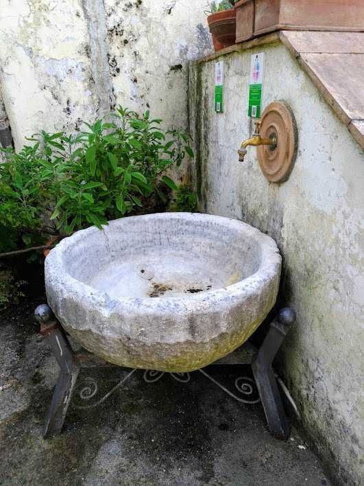 Giornata mondiale dell'acqua: calda o fredda?cosa succede al corpo a seconda della temperatura 4 Giornata mondiale dell'acqua: calda o fredda?