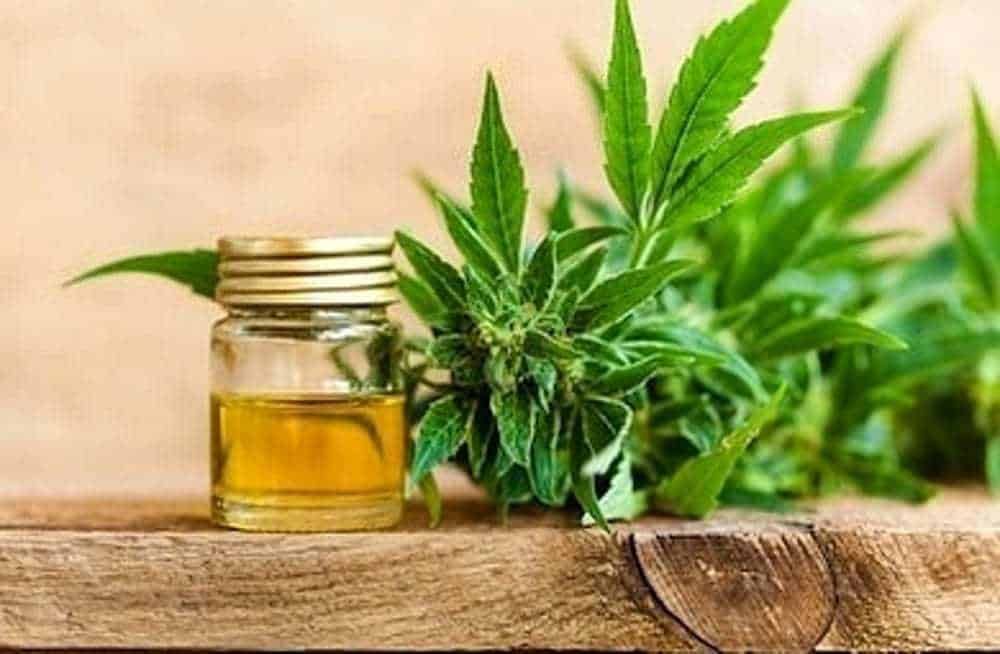 Olio di Cbd