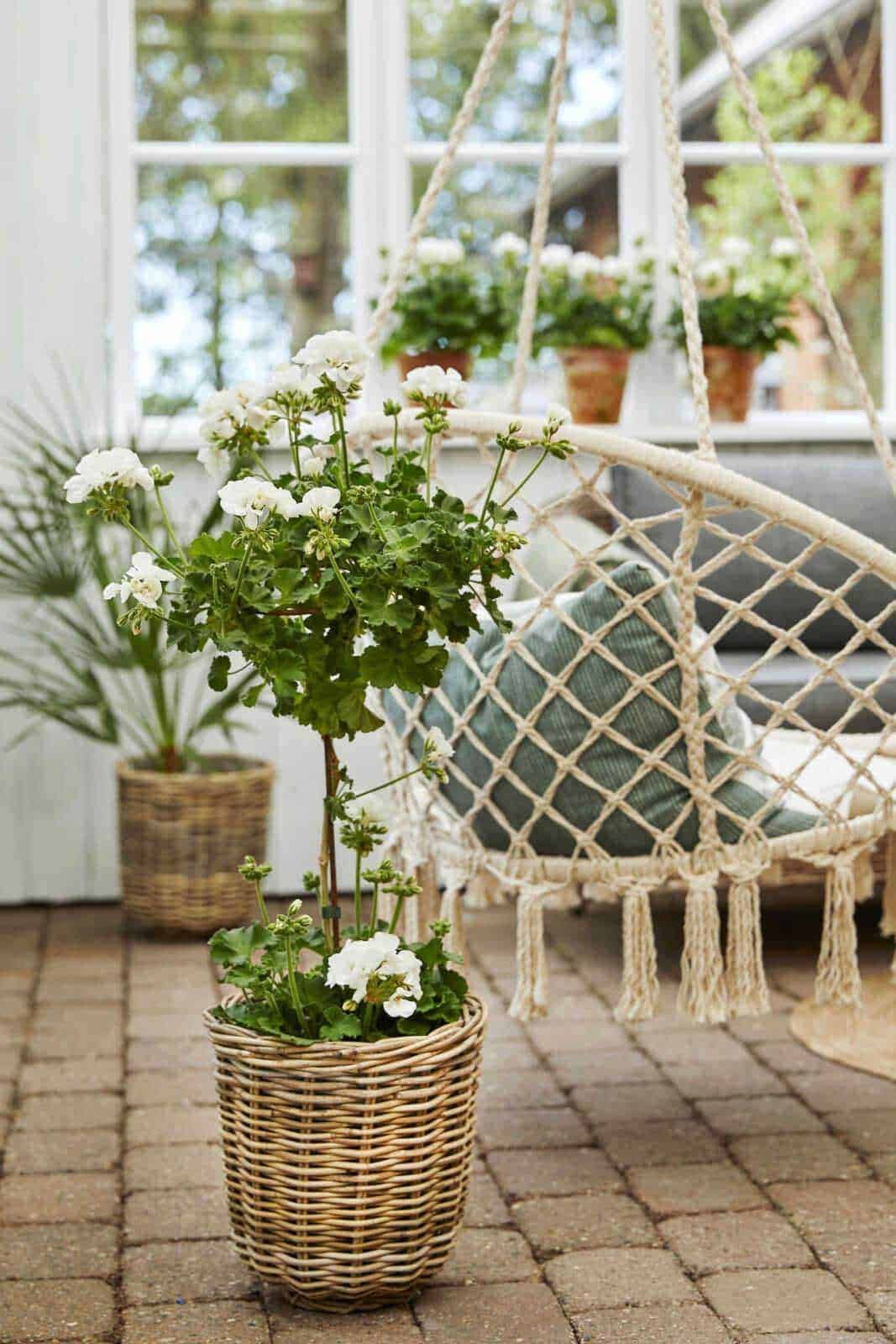 Vaso di fiori bianchi su terra in pietra, ambiente esterno con piante verdi, decorazioni in vimini e seduta sospesa in corda, atmosfera rilassante e naturale.