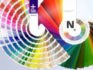 Print24, tipografia online dai prezzi modici! 4 Nuancier di colori Pantone e HKS per design, moda e stampe con guide colorate e cartelle di tonalità accattivanti e professionali.