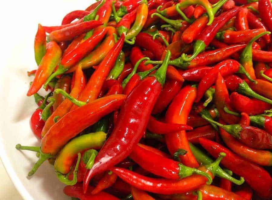 Piccante di peperoncino rosso, freschi e saporiti, ideali per cucina piccante e ricette tradizionali italiane, peperoncini freschi e saporiti.