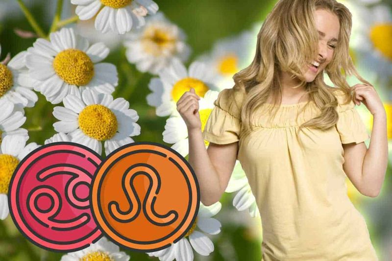 12 piante e fiori zodiaco portafortuna da regalare