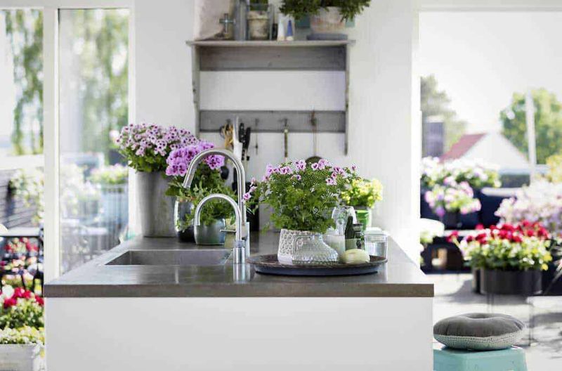 Pianta in vaso con fiori rosa mentre viene annaffiata con innaffiatoio verde, cura delle piante da giardinaggio, fiori per esterni, giardinaggio domestico, atmosfera di primavera.