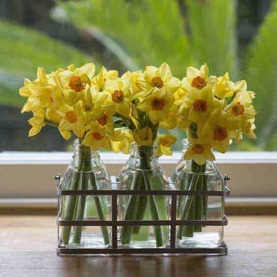 Fiori di narciso gialli in bottiglie di vetro su finestra con sfondo naturale verde, decorazione floreale fresca e colorata, ideale per interni e ambienti primaverili.