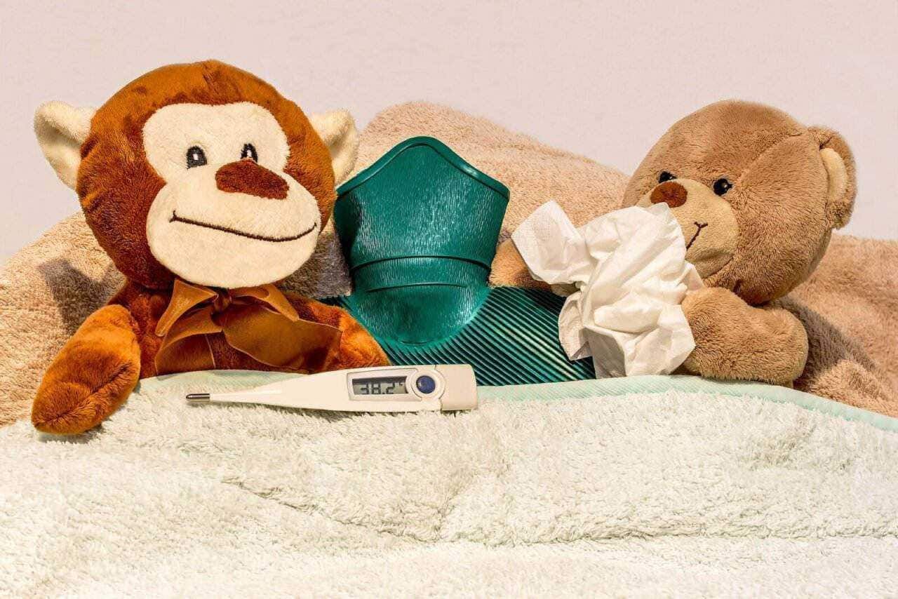 Peluche di scimmia e orsetto con termometro e ciuccio su coperta, temperatura corporea, malattia bambini, giochi e medicine, fantasia e cura infantile, oggetti morbidi e rassicuranti, appunti sul blog.