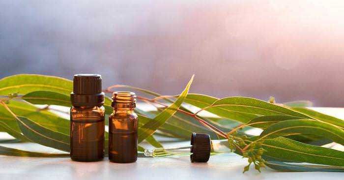 Oli essenziali in bottiglie di vetro con foglie di eucalipto sul tavolo, aromaterapia naturale, benessere e relax con oli naturali, cosmesi e rimedi naturali, prodotti naturali per la salute.