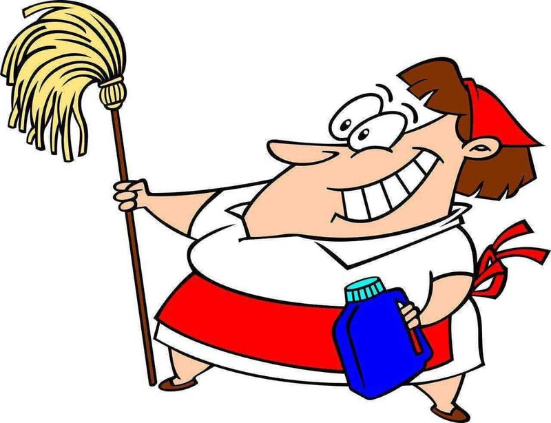 Mastro nini con mop e secchio in stile cartone animato, personaggio allegro e simpatico, caricatura di un cuoco o domatore di scarafaggi, in stile comic.