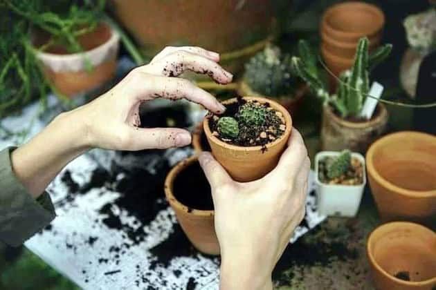 Balcone piccolo oasi di relax. Come arredarlo con piante e arredi