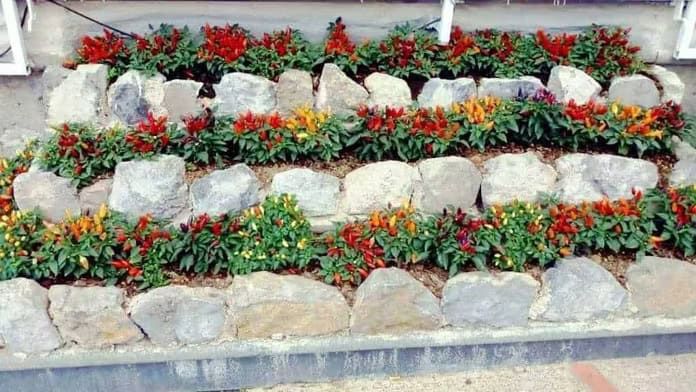 Balcone piccolo oasi di relax. Come arredarlo con piante e arredi