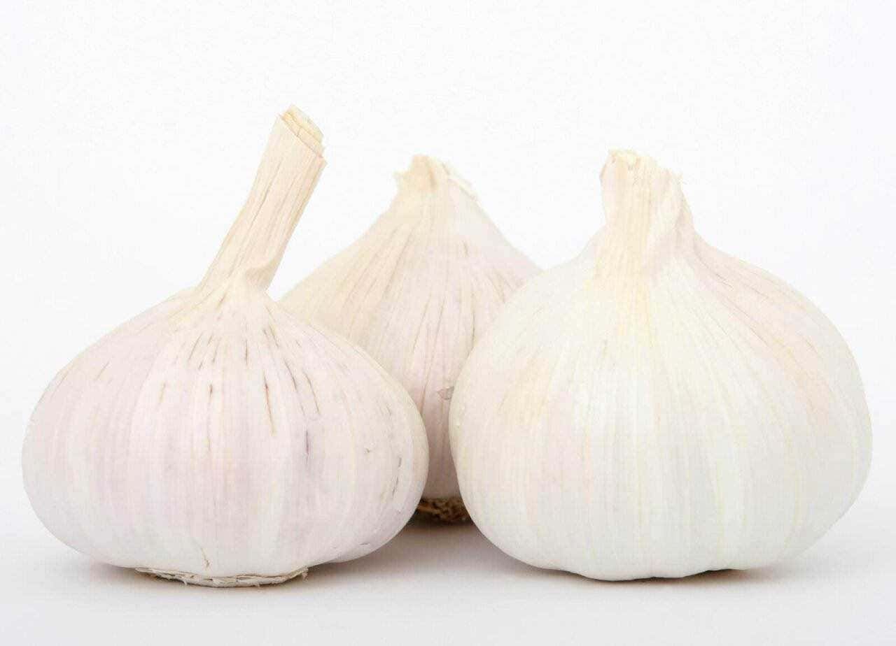 Crema di mele e noci in ciotola trasparente, dessert fatto in casa con frutta fresca e noci, perfetto per uno snack healthy, ricco di sapore e nutrienti.