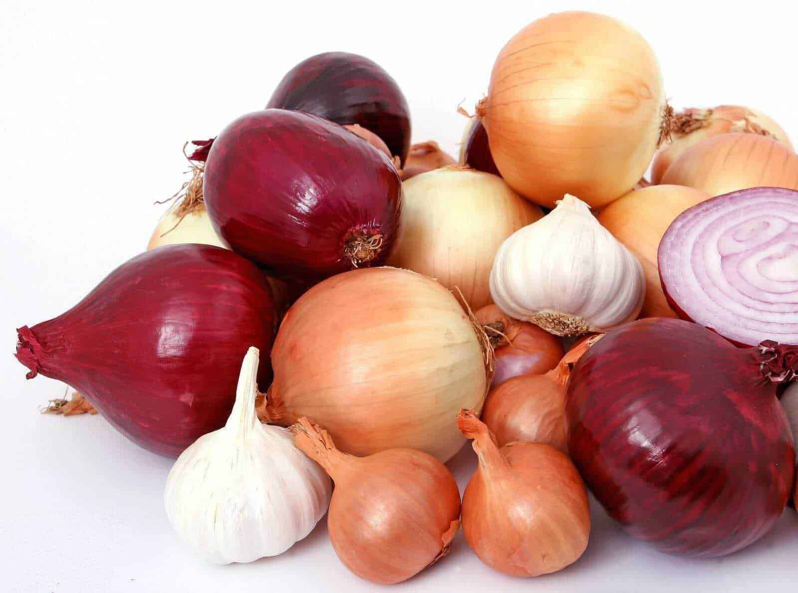 Cipolle rosse, dorate e aglio su sfondo bianco, vista ravvicinata, alimenti naturali, ingredienti cucina italiana.