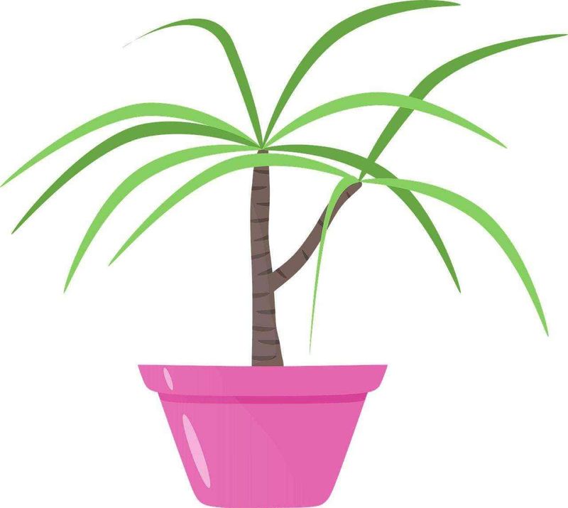 15 piante bagno cieco senza finestra: le migliori specie con poca luce 7 Foglioline verdi su pianta di piante in vaso, illustrazione vettoriale, decorazione botanica per articoli su giardinaggio e piante.